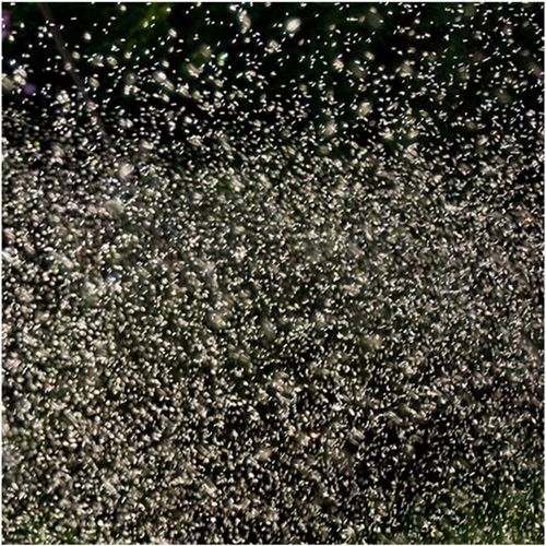 These are Galaxies!! These are Galaxies!!